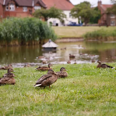 Feriehus Prospect House *