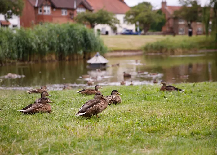 度假居 Prospect House *